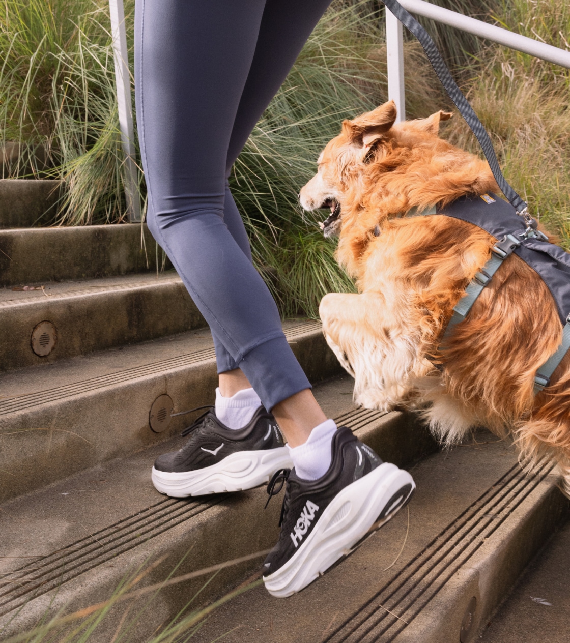 A person runs up the staircase with their pup.