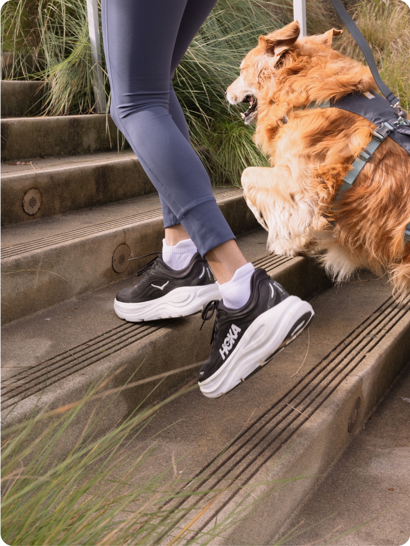 A person jogs up a staircase with a very good pup.