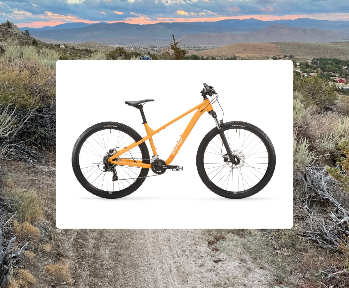 An R E I Co-op mountain bike over an image of a trail with a mountain range in the background.