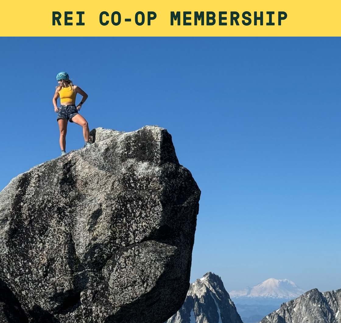 A person stands on top of a large rock and looks off into the distance.