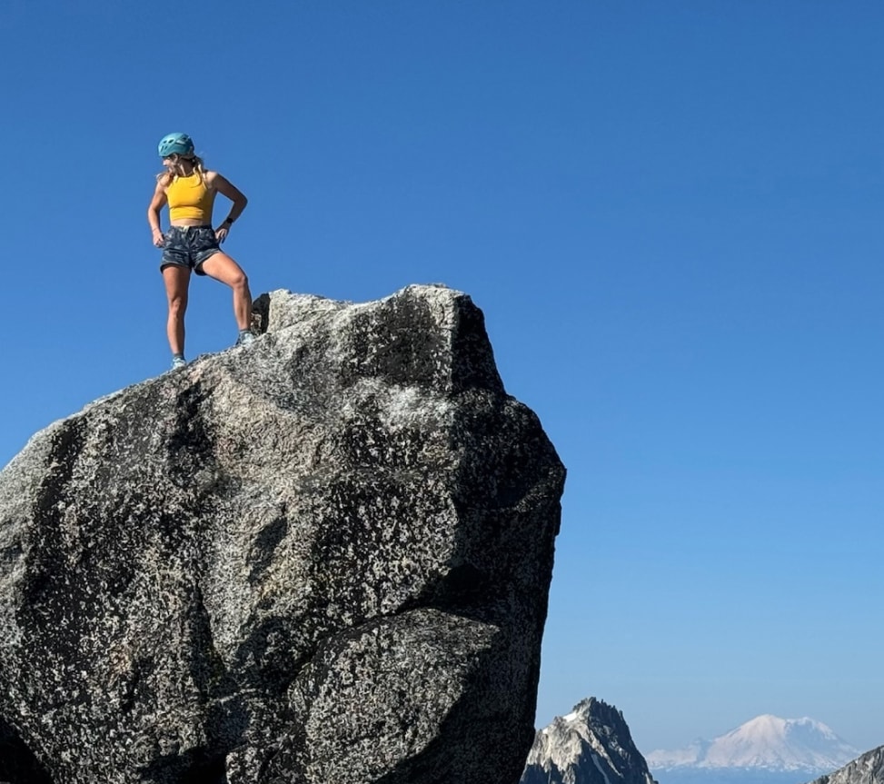 A person stands on top of a large rock and looks off into the distance.