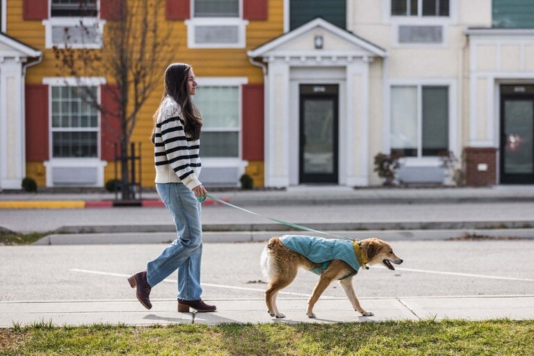 A person in a striped shirt walks their dog, who's wearing a blue jacket.