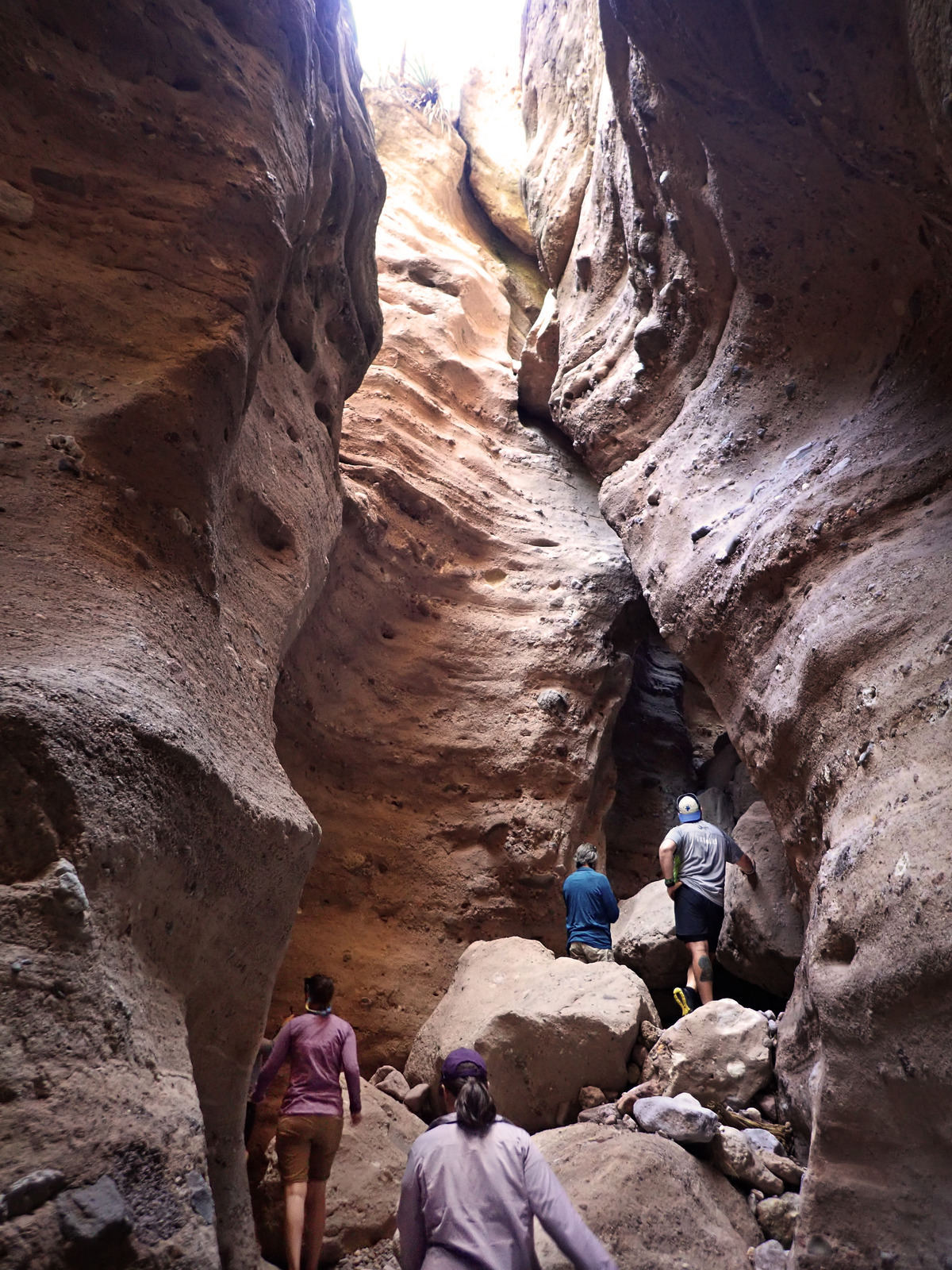 Hiking with only our daypacks, we discover the inner canyons and its many tributaries. Allowing us to fully immerse ourselves in the Aravaipa Wilderness and form a lasting connection with this magical place. 