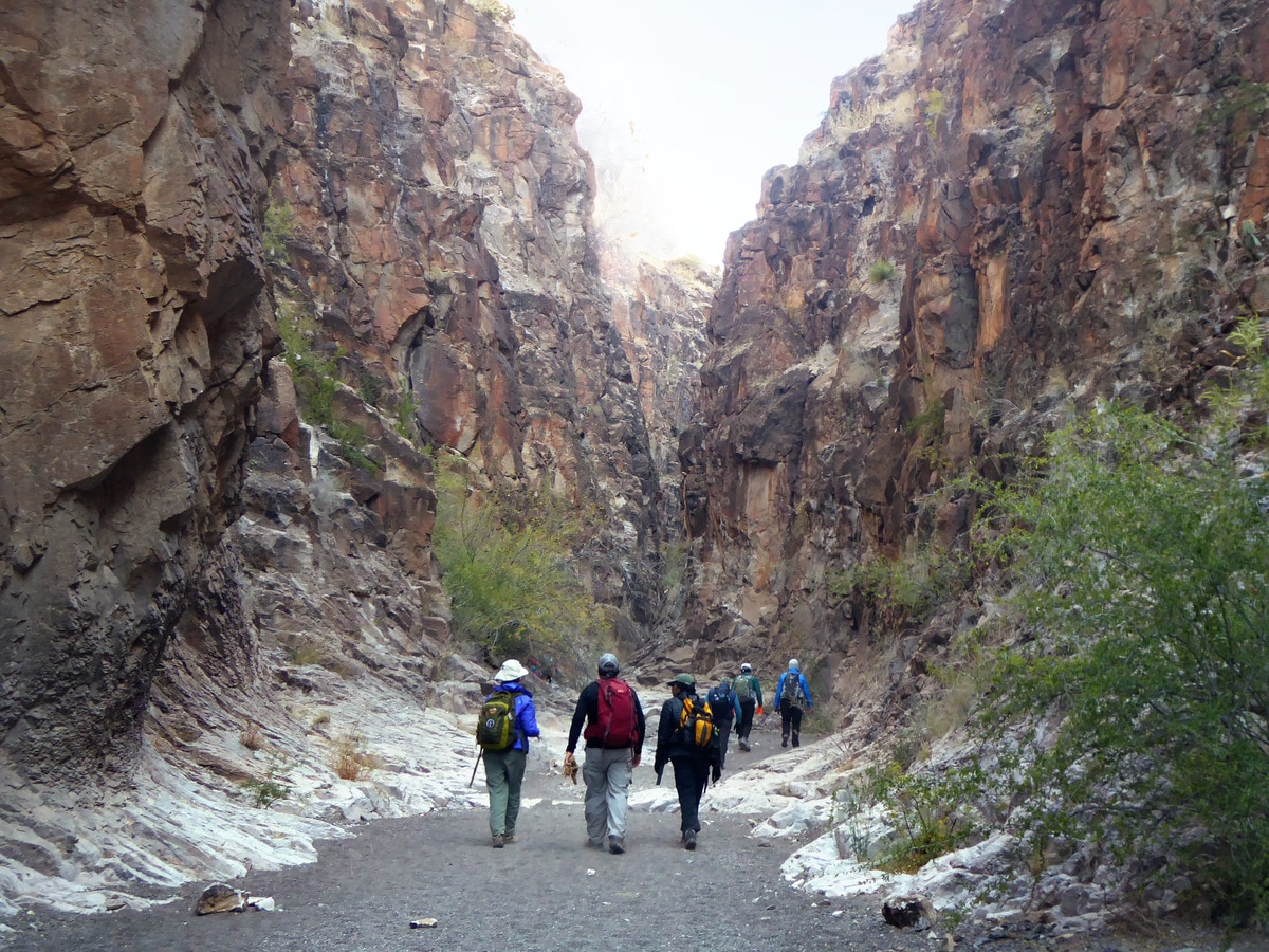 Explore a slot canyon in Big Bend Ranch State Park.