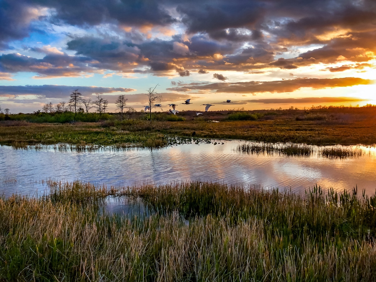 Quiet sunsets cap off a day of southern Florida adventure.