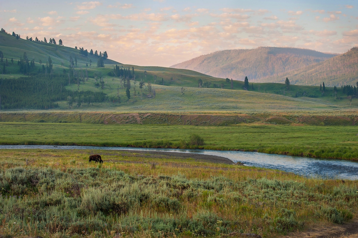 Yellowstone Backpacking Lamar Valley to Pelican Valley