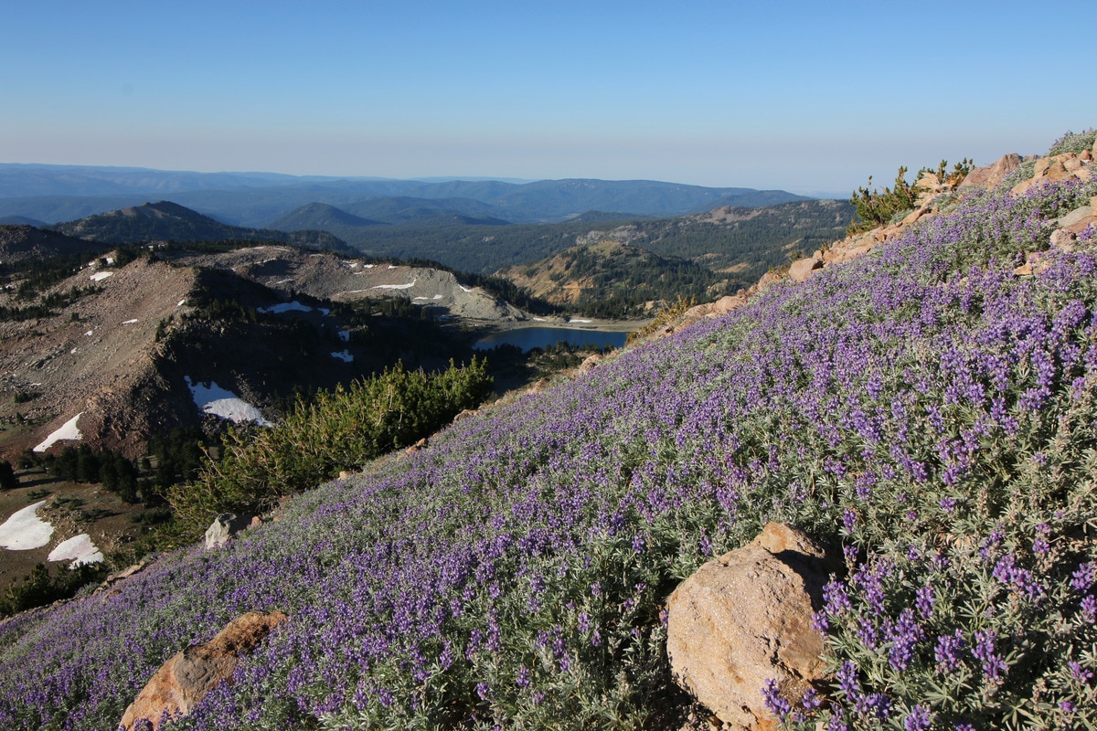 On a clear day views on the way up Lassen Peak stretch across the park and far into northern California.