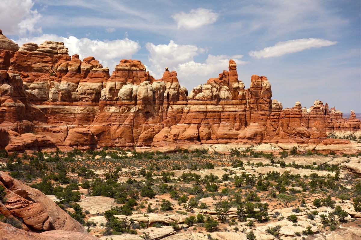 Hike past an astonishing array of sandstone pinnacles rising from the slickrock landscape like a city of stone skyscrapers.