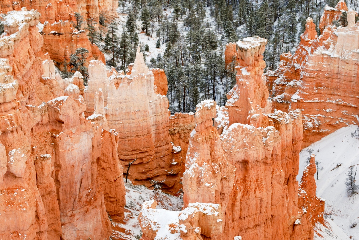 Our visit to Bryce will include close-up views of the park's iconic and colorful hoodoos.