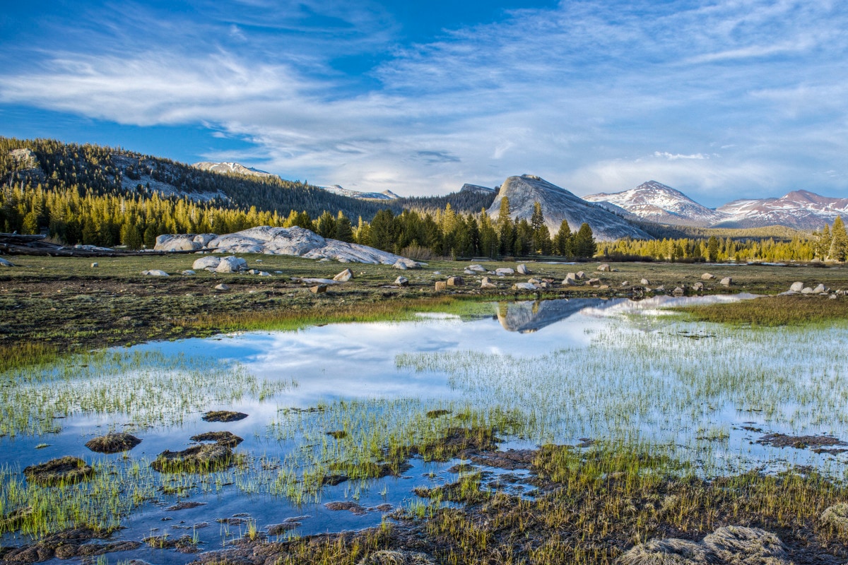 Discover the tranquil beauty of Tuolumne Meadows and the high country.