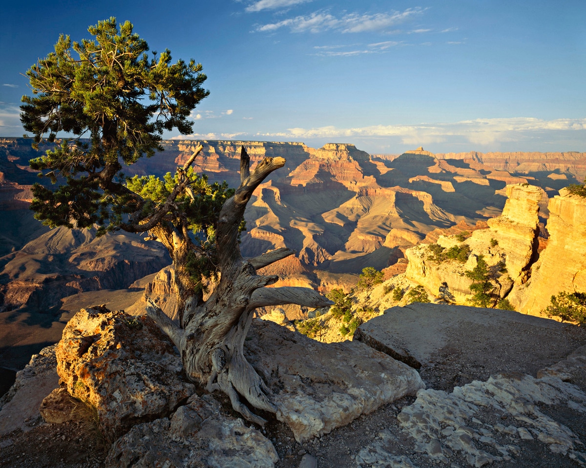 Grand Canyon Phantom Ranch Rim to Rim Hiking 7 Day REI Adventures