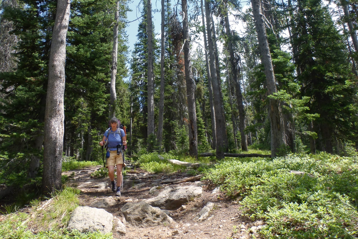 On this backpacking adventure in America’s first national park, our exceptional female guides lead us down the trail, teach us about the park’s geology and wildlife, and inspire us to continue our journey of discovery through the heart of this magnificent wilderness.