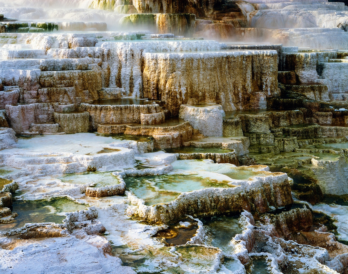 We visit the travertine pools at Mammoth Hot Springs where we get our first glimpse of some of the park’s unique thermal features.