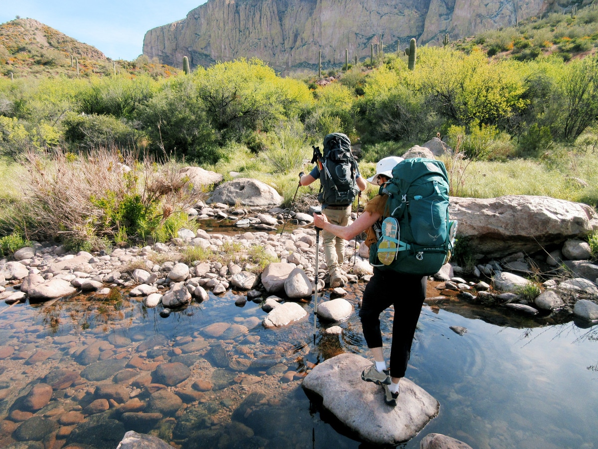 Hike across seasonal streams that nourish the desert landscape.