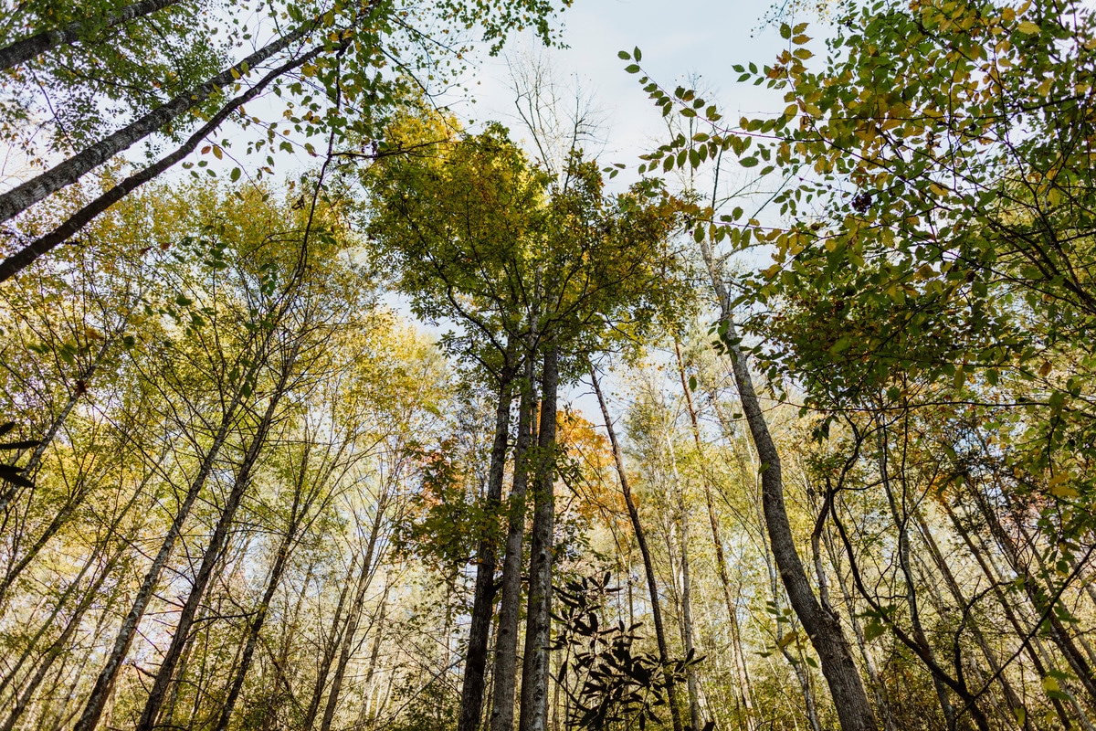 The simplicity of trail life soothes stress and helps us be mindful in the here-and-now.