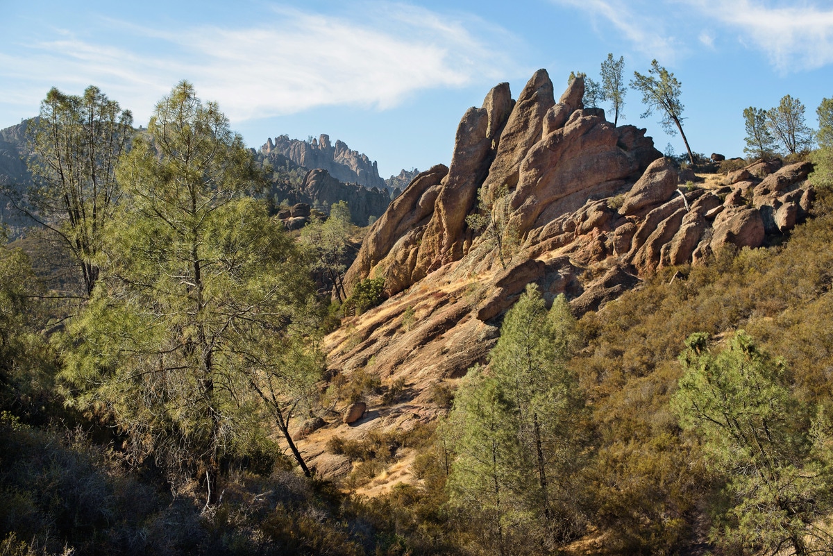 During the course of our comprehensive exploration, we hike low and high, discovering Pinnacles’ unique cave systems (some providing shelter for the park’s 14 bat species) and climbing to the summit of North Chalone Peak, the highest point in the park.