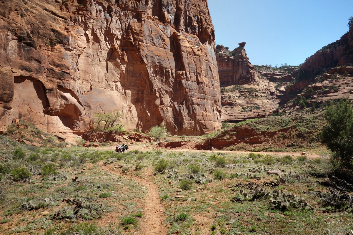 Hike into the heart of mysterious Canyon de Chelly National Monument and discover a landscape filled with tranquil riparian beauty and remnants of the indigenous cultures that have inhabited this region for over 5,000 years.