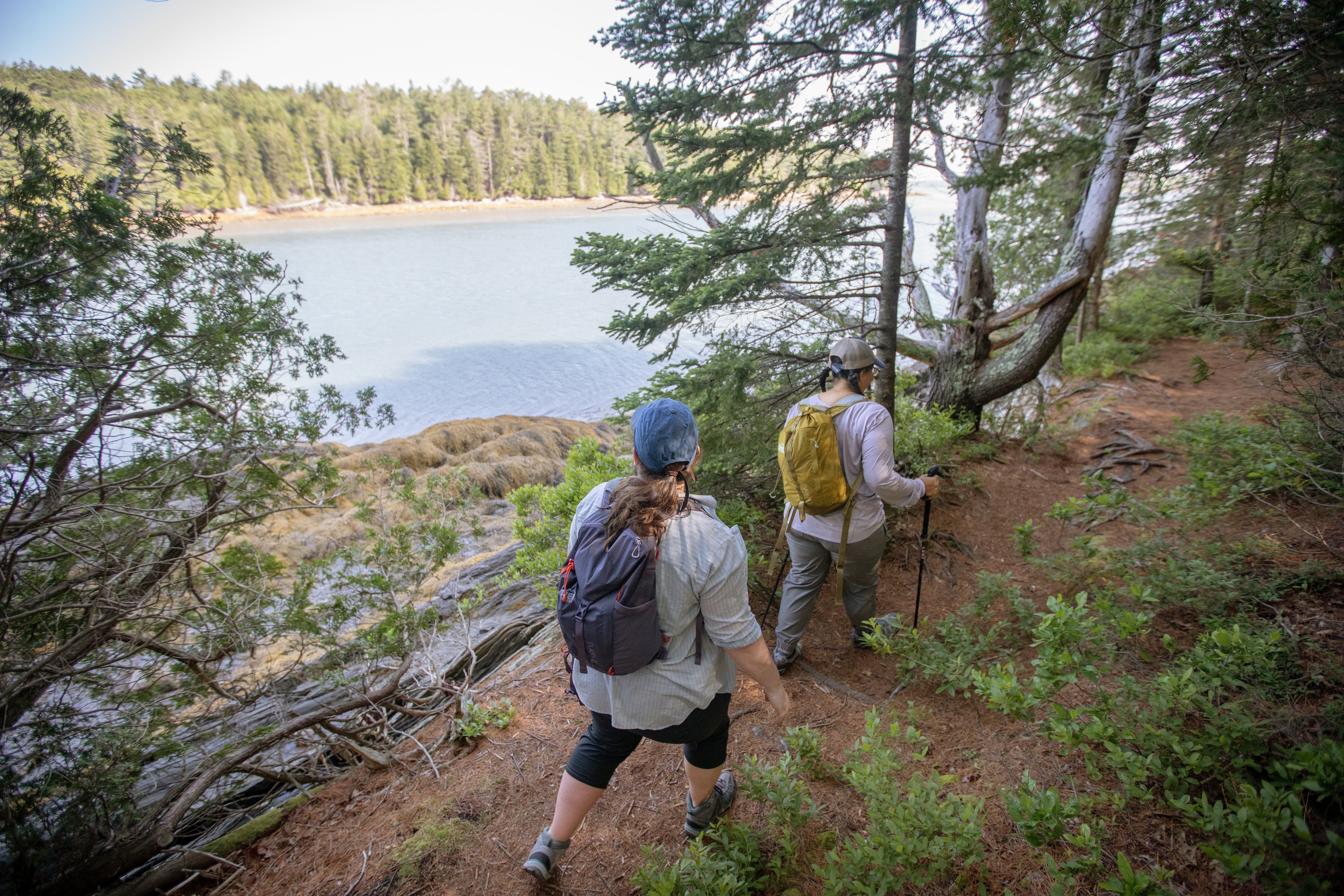 Two hikers on a wooded trail in Maine