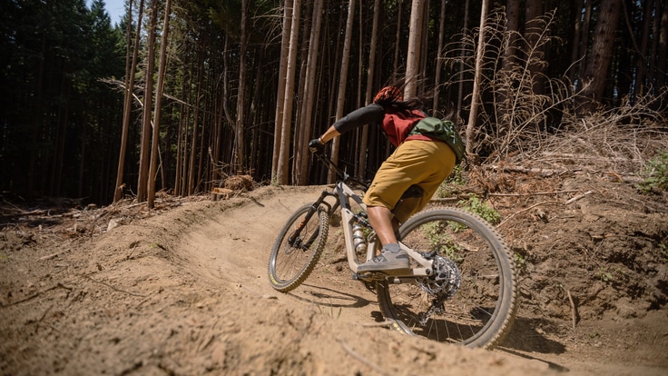 A mountain biker grinder up a dirt trail that leads into the woods.