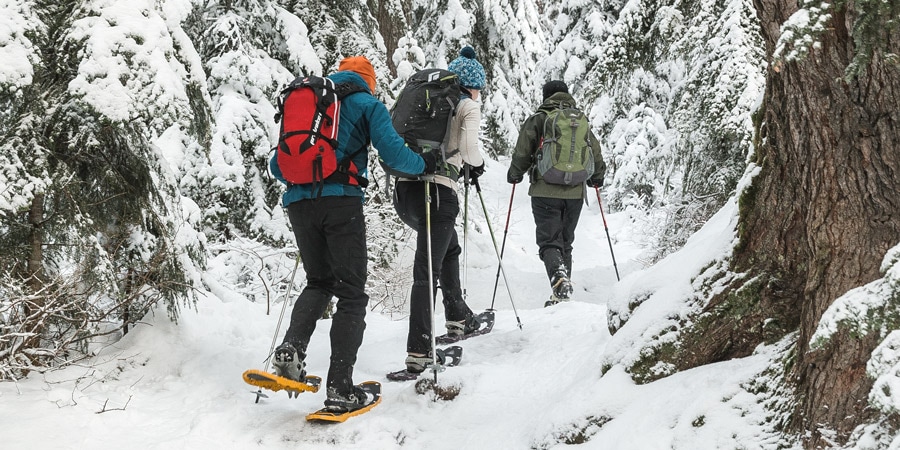 Three snowshoers on a path in the woods