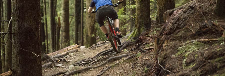 mountain biker riding on trail with roots