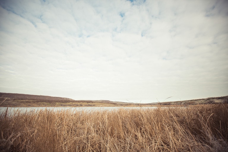 A field of grass looking out towards a mountain