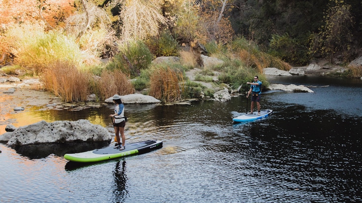 Two stand up paddle boarders make their way along an inky-blue flat-water river.