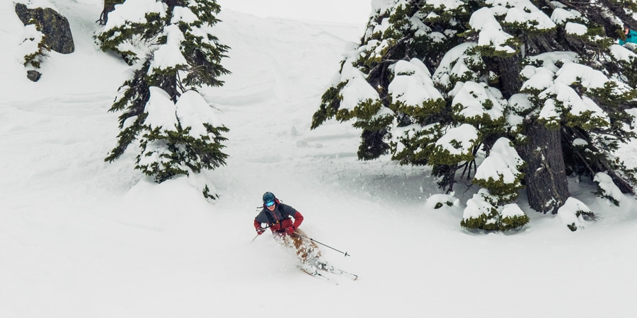 a skier skiing between trees