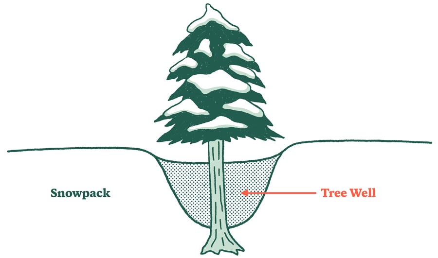 An illustration of a tree well