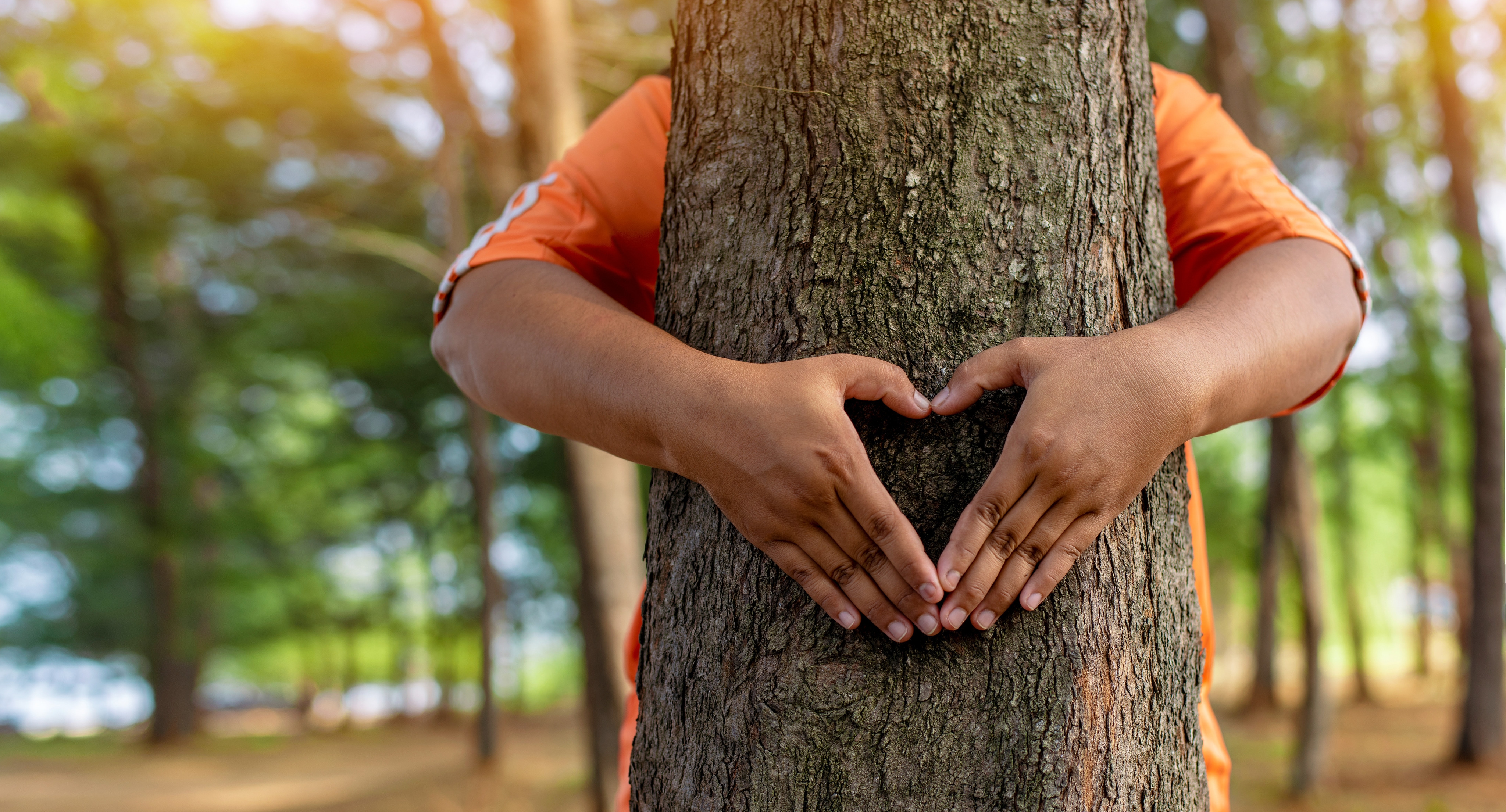 A child hugs a tree trunk and makes a heart shape with his hands.