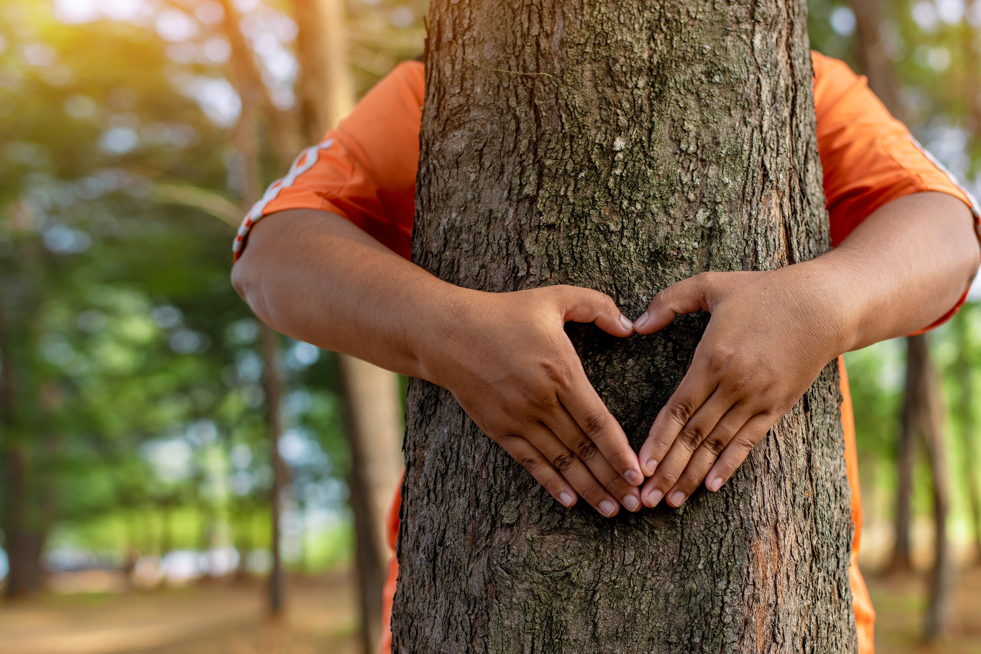 A child hugs a tree trunk and makes a heart shape with his hands.