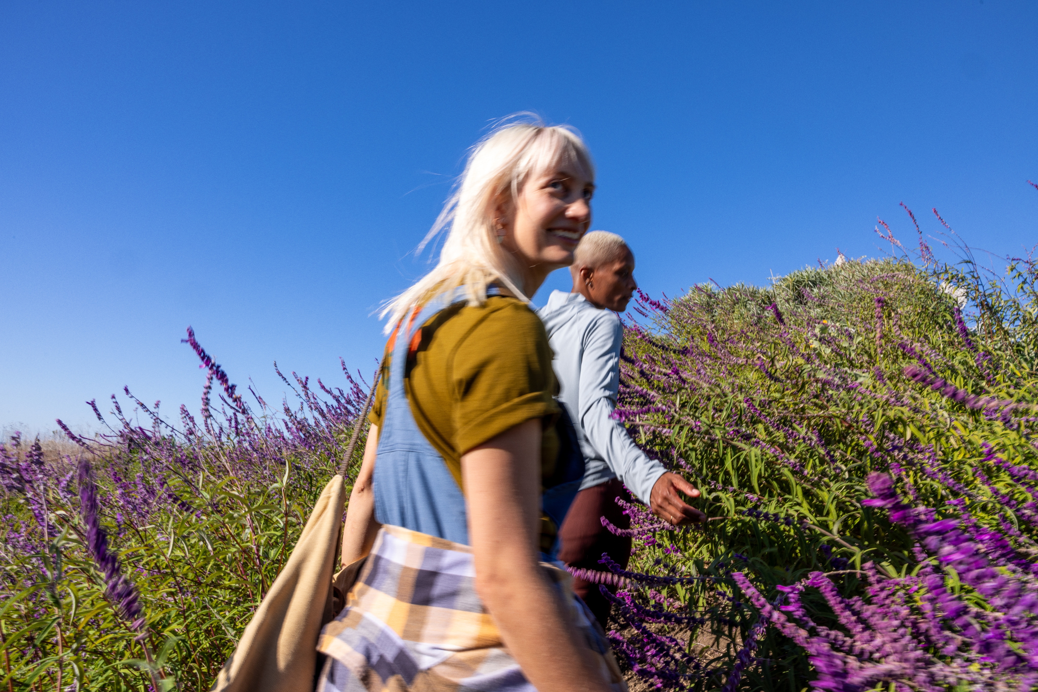 Two women walk through a field of cheerful lavender flowers