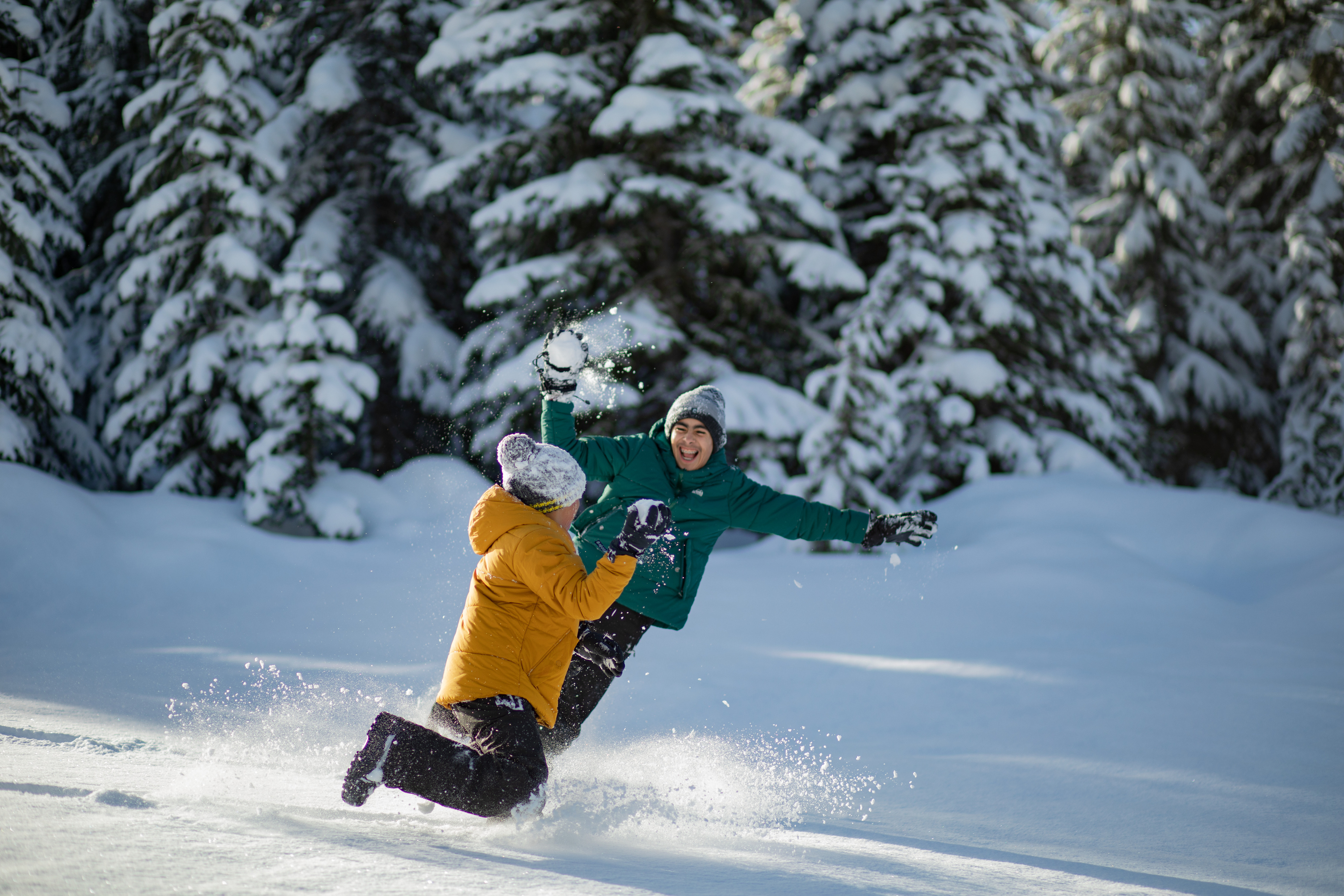 Two kids have a snowball fight in deep snow among evergreen trees