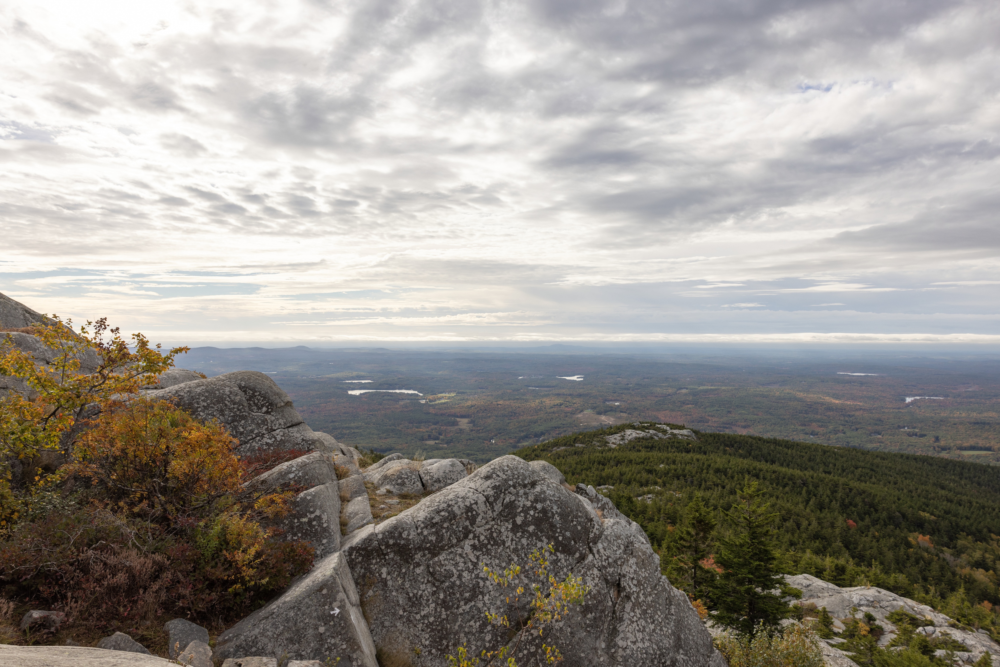 View from a rocky outcrop overlooking a forested valley