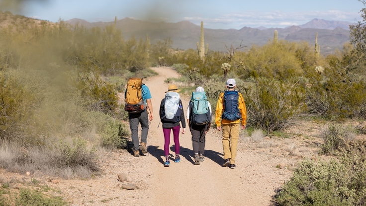 Four hikers walk away from the camera into a scrub brush desert landscape