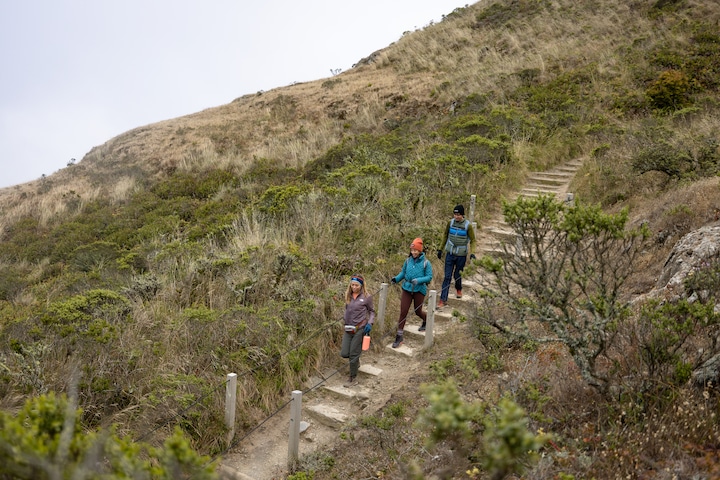 three hikers walking down a trail with steps