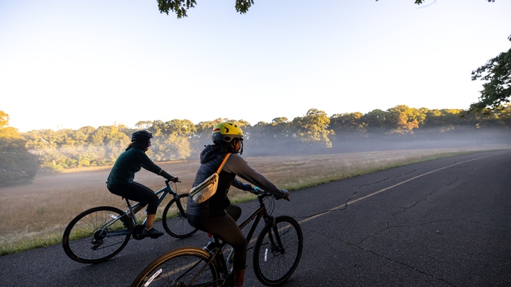 Two cyclists riding on an empty paved road against backdrop of trees.