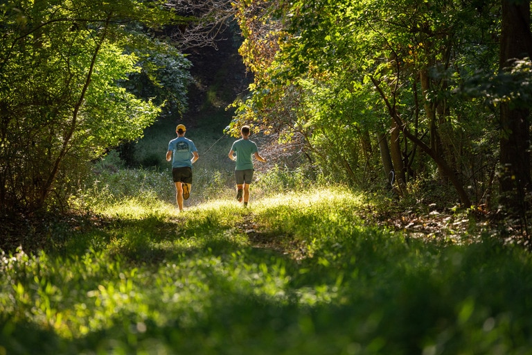 two trail runners run through green landscape in sunshine