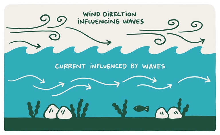 Illustration of lake dynamics, with a fish-eye view including wind direction influencing waves and current direction influenced by waves.