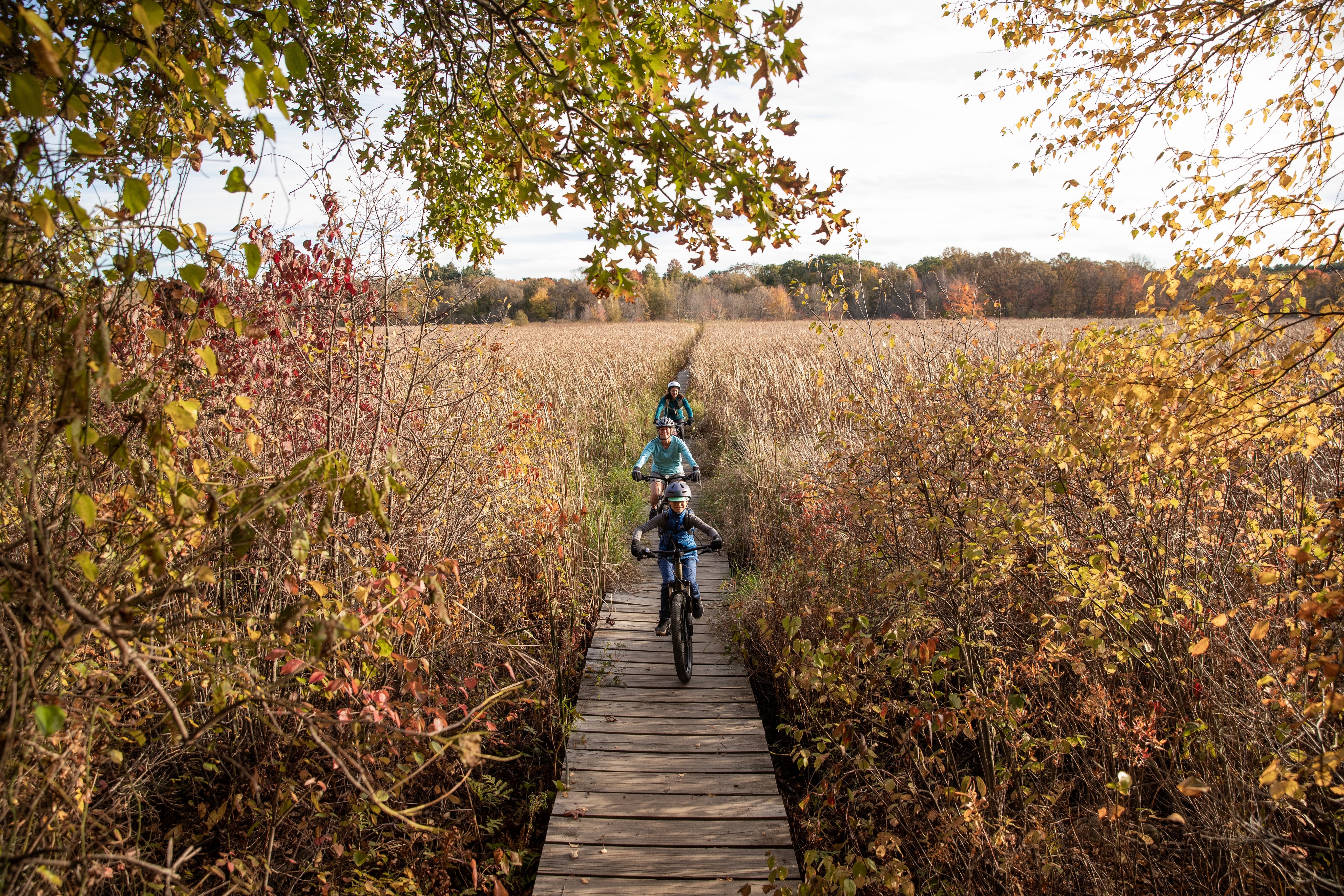 A family rides mountain bikes on a trail through a field in autumn.