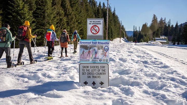 People walking in snowshoes