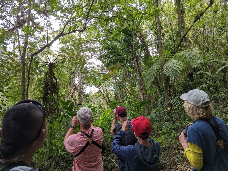 Birders in Colombia