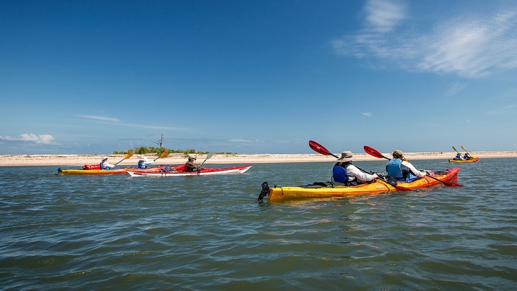 A group of four kayaks travels along a beach, three are two-person kayaks, one is solo.