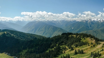 A sunny scene of Olympic National Park with a shallow shelf of clouds floating above snow-capped peaks, fading into green, rolling hills.