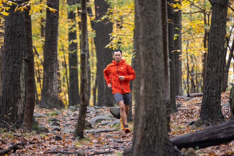 A runner wearing a jacket and shorts cuts through a wooded area.