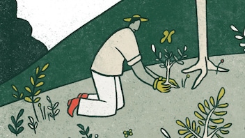 Illustration of someone wearing a gardening hat planting a small tree seedling near a taller tree on a rolling hill; a buttterfly floats above the new planting.