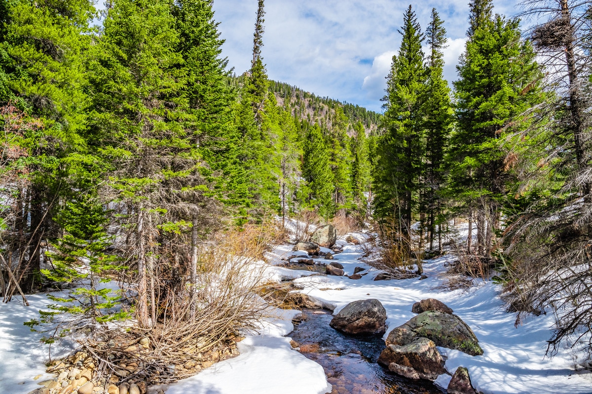 Snowshoe along the peaceful North St. Vrain Creek to Calypso Cascades, named after the delicate Calypso Orchids (also known as fairy slippers) that bloom along the creek.