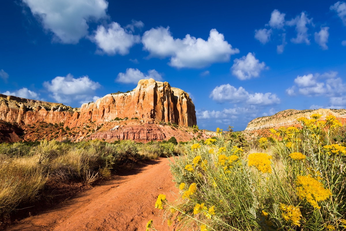 Ghost Ranch is where famed artist Georgia O'Keefe spent much time  finding inspiration in the wild and stunning South West.