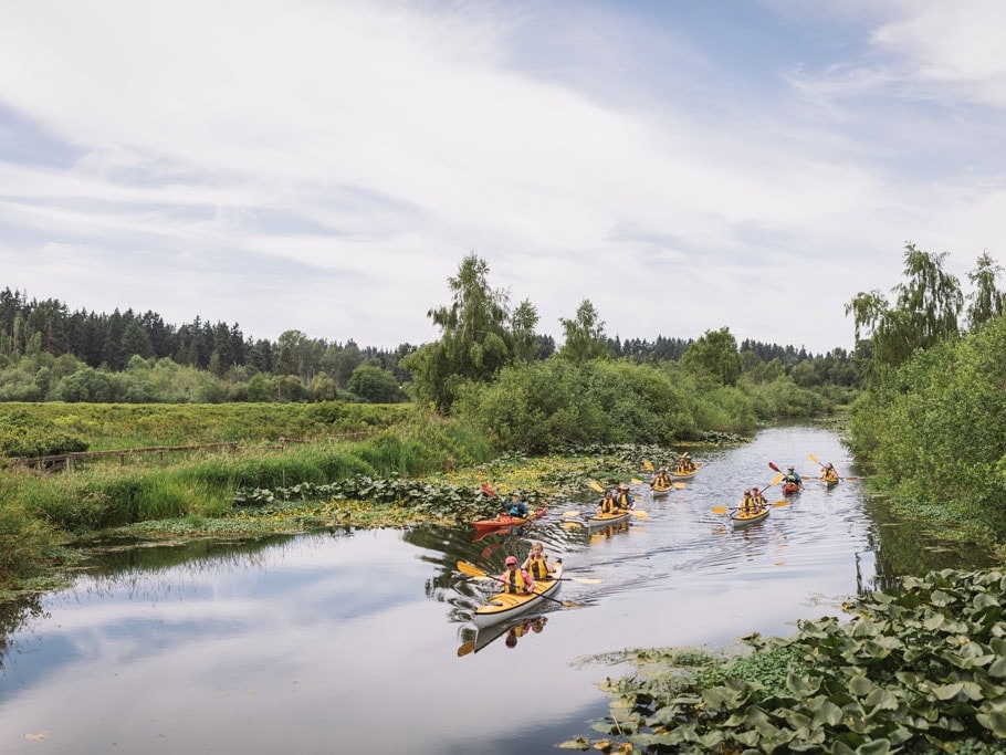 A group of kayakers paddle down a river.