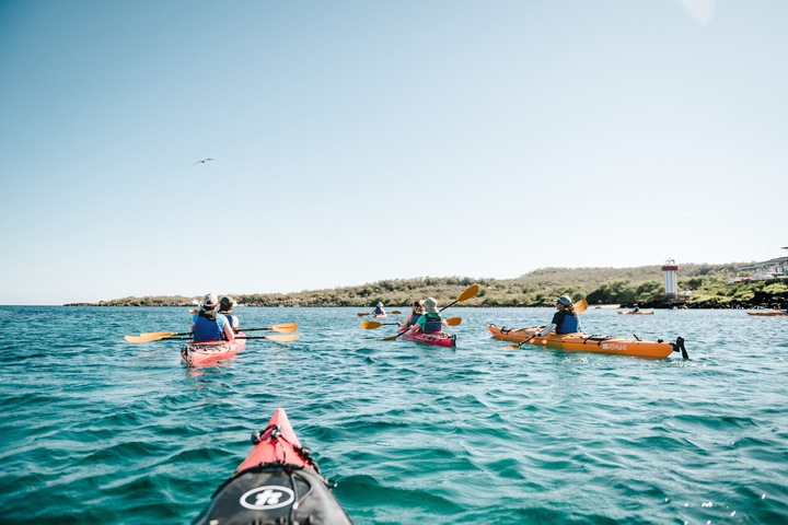 group of kayakers paddling